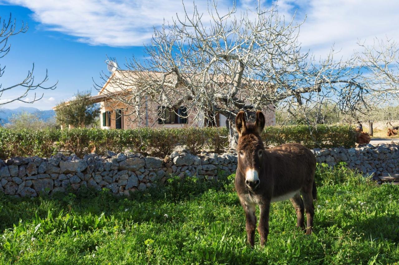 155 Finca Son Rossignol By Mallorca Charme Sineu  Extérieur photo